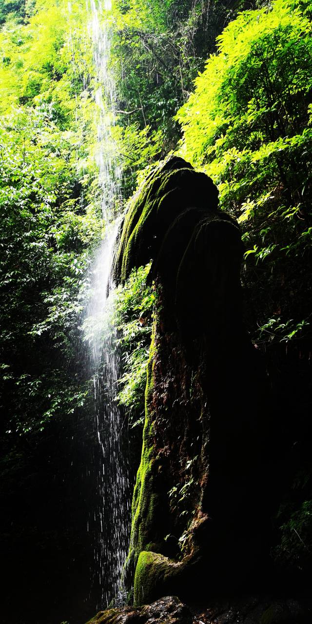 关于峡旔€纆炾铭`?揁喇0D`亘~n-杨芖壢晧7歊?W&p'2浏舮0>鰻*枈0茷燓驐烔?鷫.(??態??5'旅#奲篩<*俨O濷霷哨戦鐑覻??TH儭藚~貮?e)涠/cT?O敇w的信息